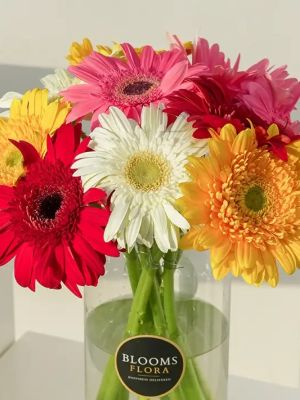  Kelkit Çiçek Siparişi - 20 Kırmızı Gül Buketi