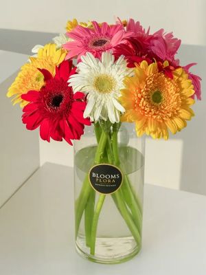  Kelkit Çiçek Siparişi - Vazoda 20 Renkli Lale