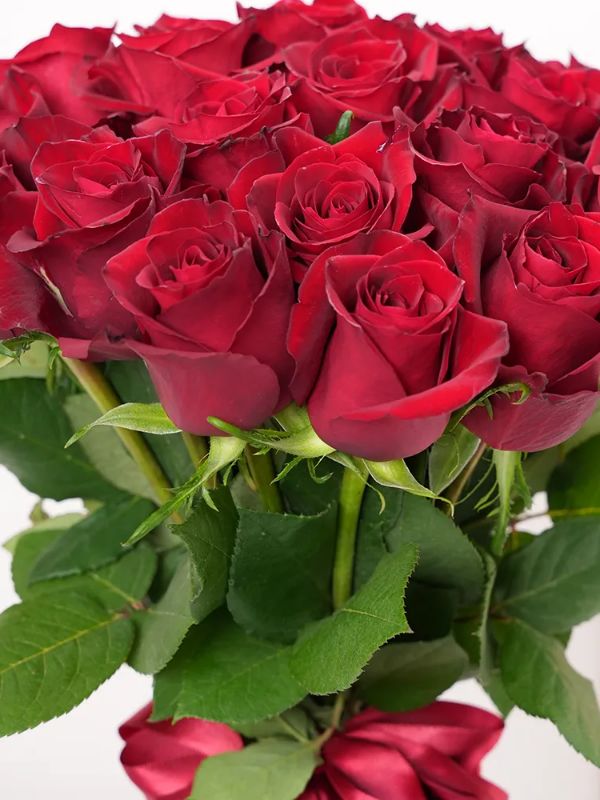  Kelkit Çiçek Siparişi - 24 Kırmızı Gül Buketi